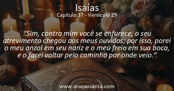 Isaías 37:29
