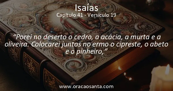 Isaías 41:19