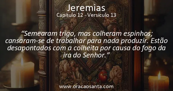 Jeremias 12:13