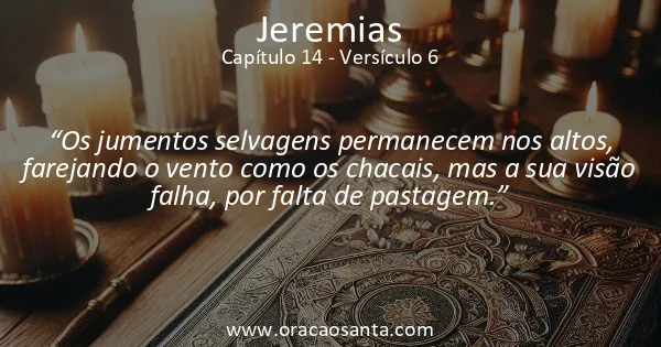 Jeremias 14:6