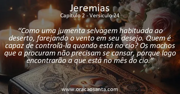 Jeremias 2:24