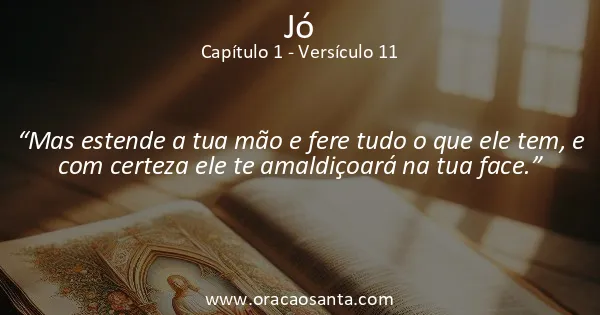 Jó 1:11