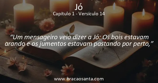 Jó 1:14
