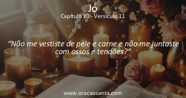 Jó 10:11