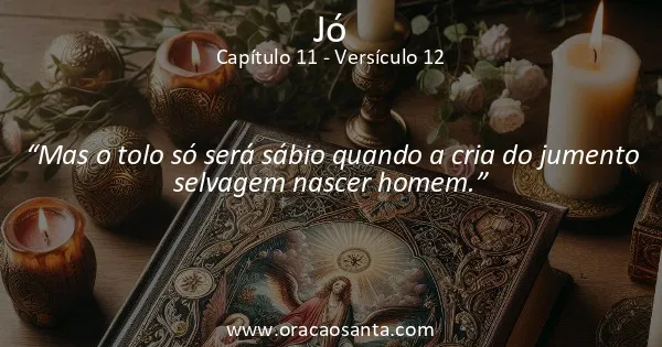 Jó 11:12
