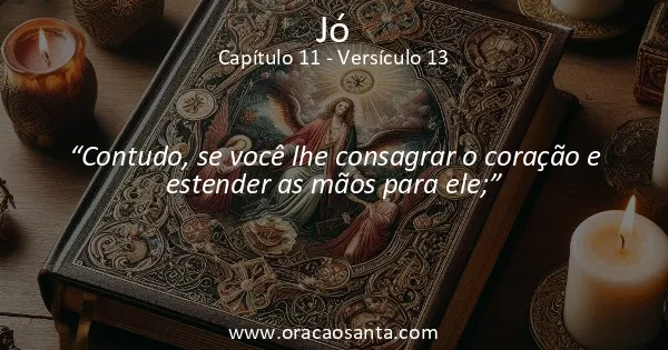Jó 11:13
