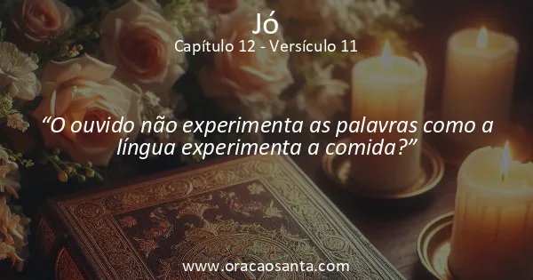 Jó 12:11
