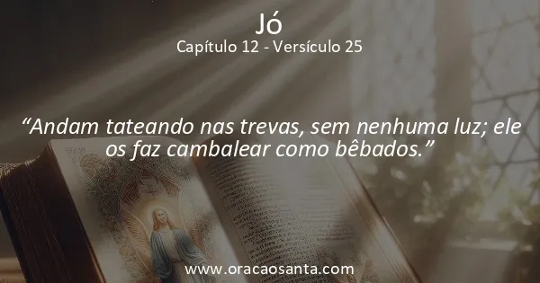Jó 12:25