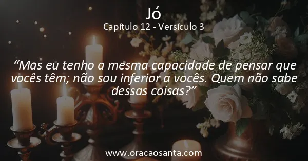 Jó 12:3