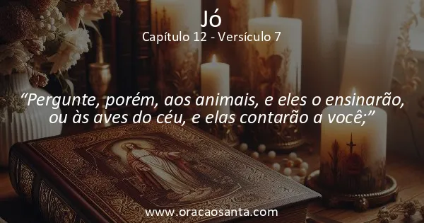 Jó 12:7