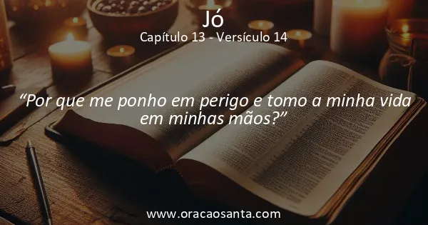 Jó 13:14