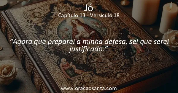 Jó 13:18