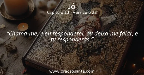 Jó 13:22