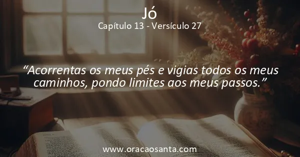 Jó 13:27