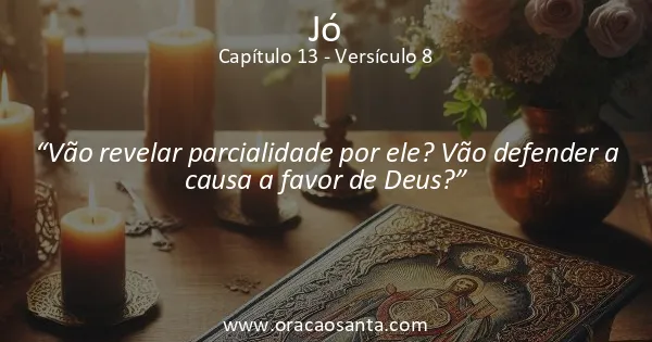 Jó 13:8