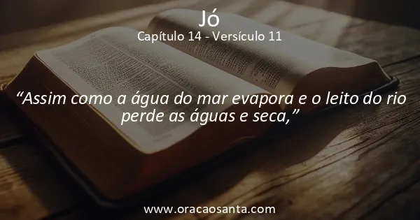 Jó 14:11