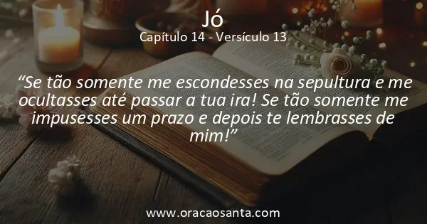 Jó 14:13