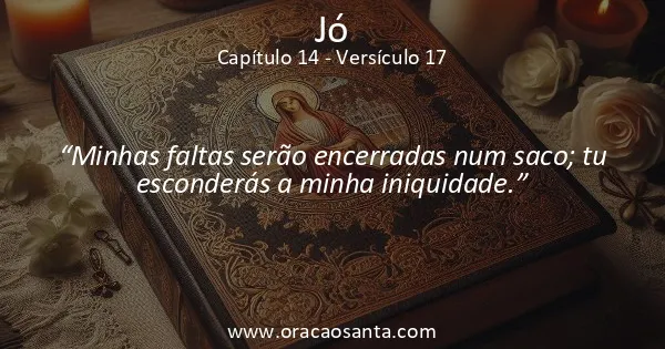 Jó 14:17