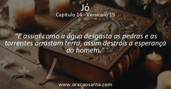 Jó 14:19