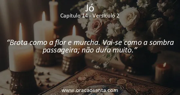 Jó 14:2