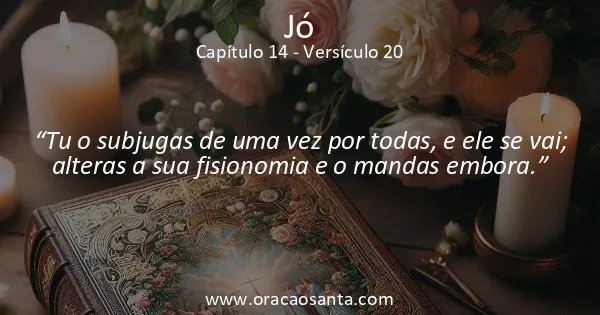 Jó 14:20