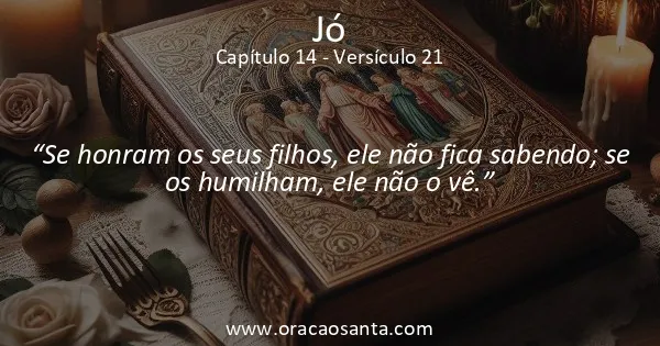 Jó 14:21