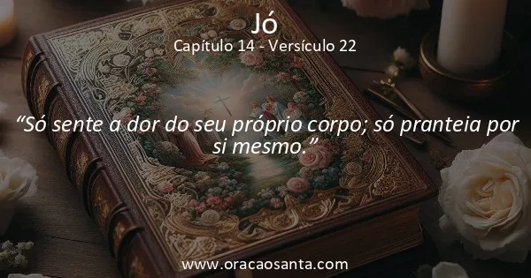 Jó 14:22