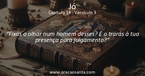 Jó 14:3