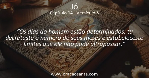 Jó 14:5