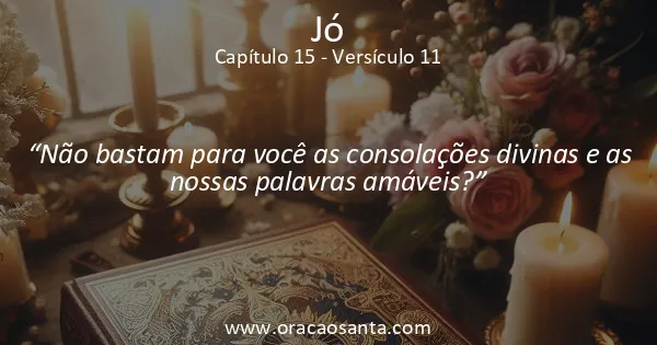 Jó 15:11