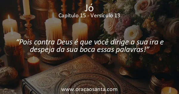 Jó 15:13