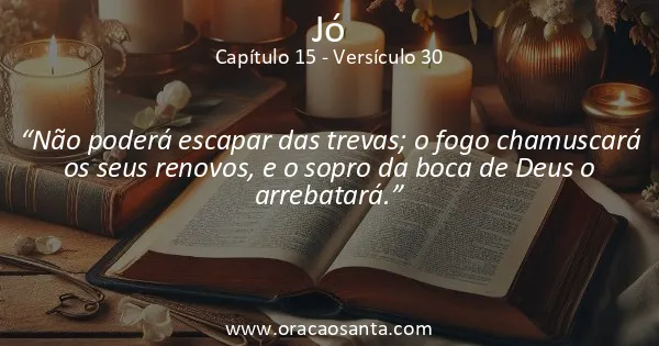 Jó 15:30