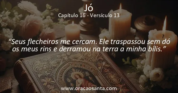 Jó 16:13