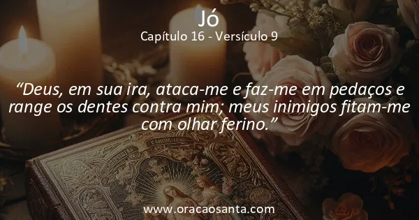 Jó 16:9