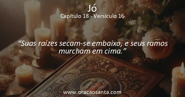 Jó 18:16