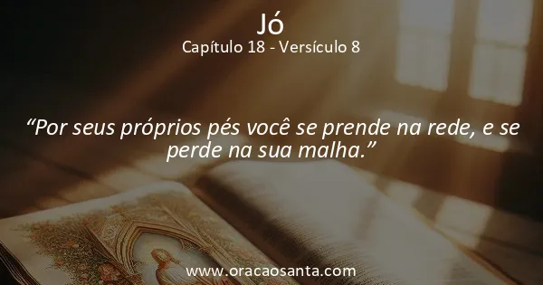 Jó 18:8
