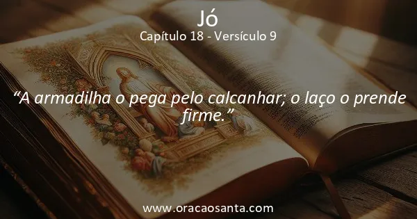 Jó 18:9