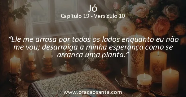 Jó 19:10
