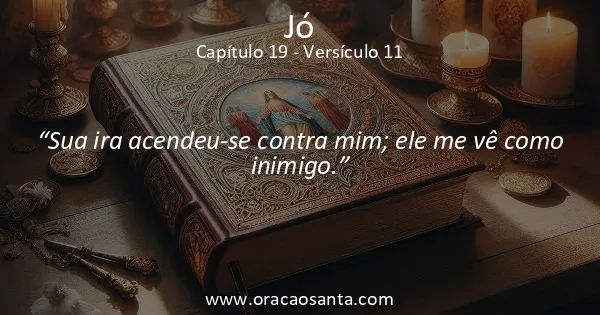 Jó 19:11