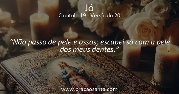 Jó 19:20