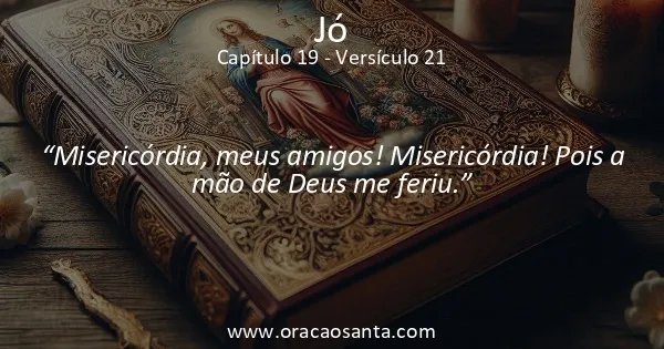 Jó 19:21