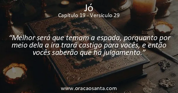 Jó 19:29