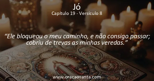 Jó 19:8