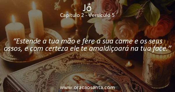 Jó 2:5