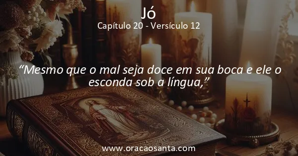 Jó 20:12