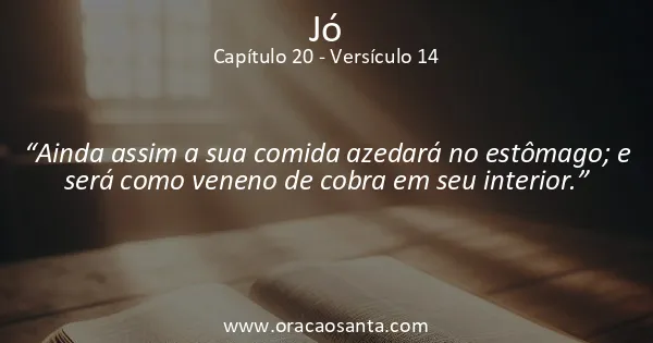 Jó 20:14