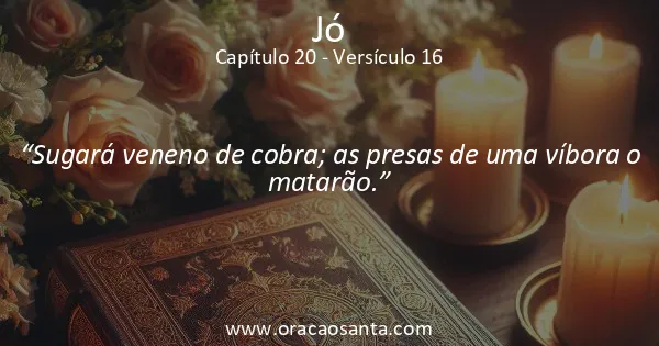 Jó 20:16