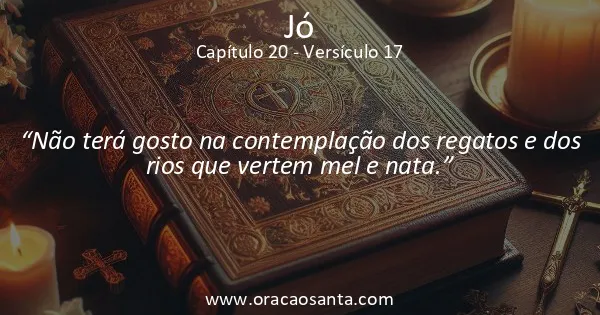 Jó 20:17
