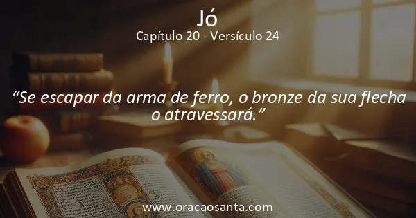 Jó 20:24