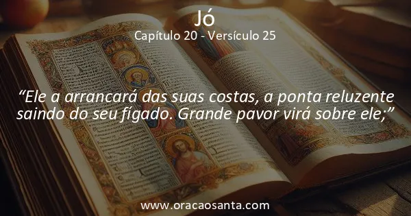 Jó 20:25